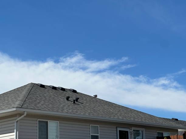 Best Asphalt Shingle Roofing  in Diamond Ridge, AK